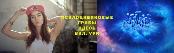 спайс Елабуга