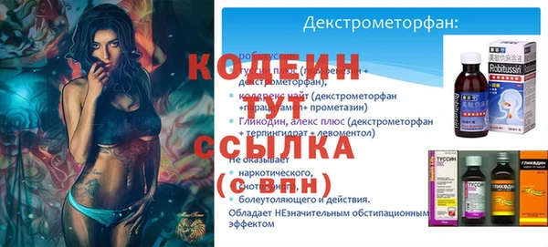 прущие грибы Струнино