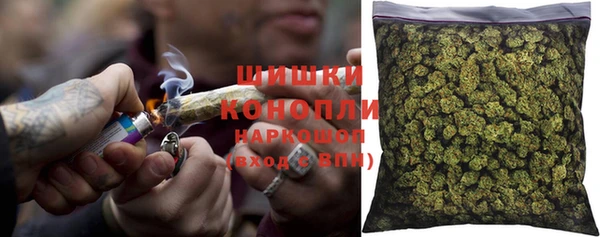 индика Дмитриев