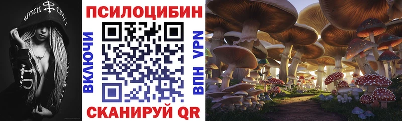 Псилоцибиновые грибы MAGIC MUSHROOMS  OMG ссылки  Лесной  где купить  