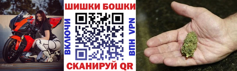 Каннабис Bruce Banner  Лесной 